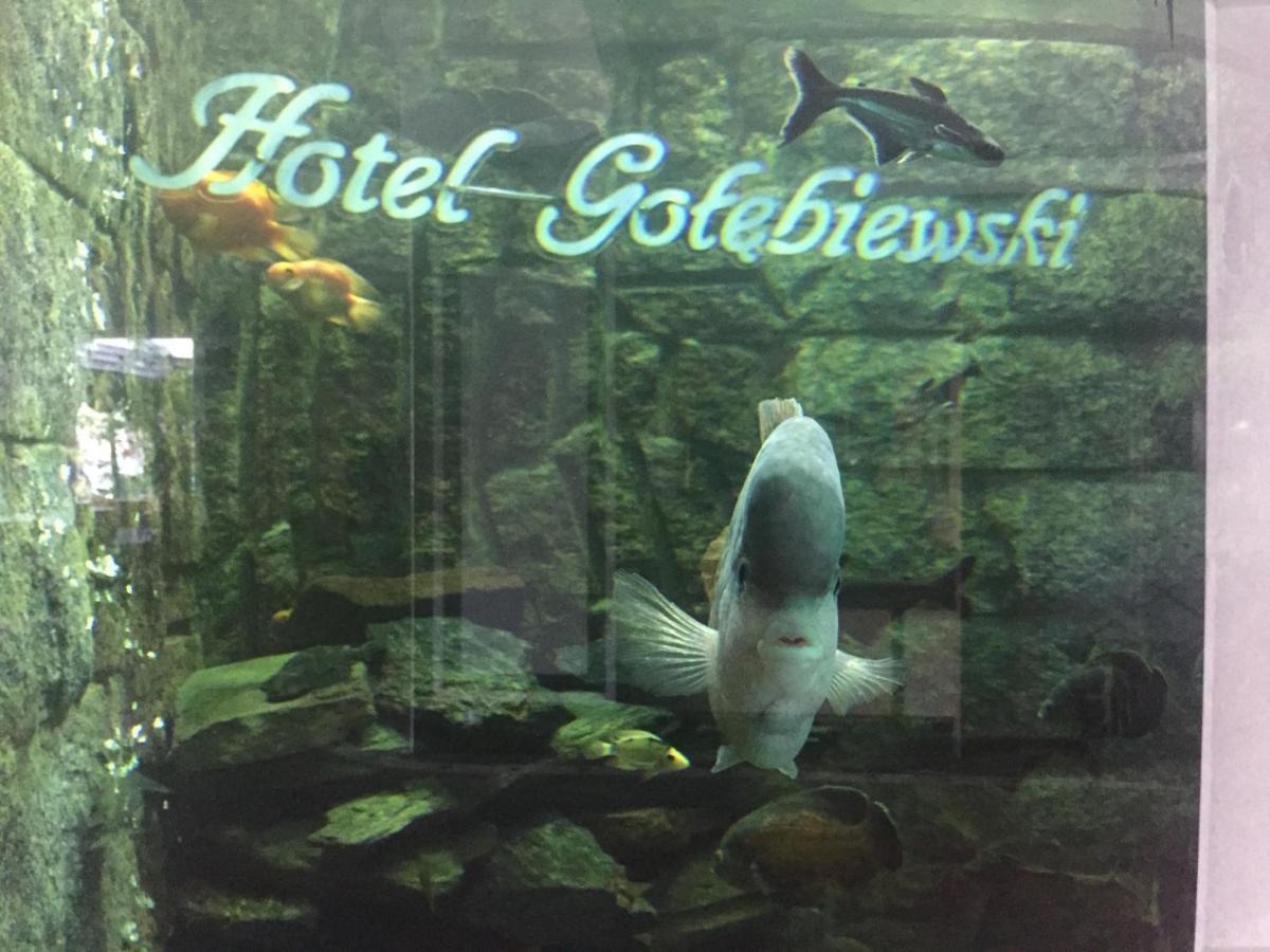 Hotel Golebiewski Białystok Exterior foto